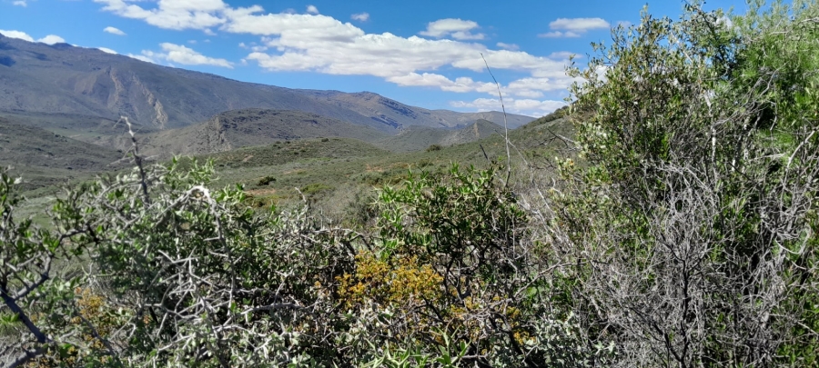 Commercial Property for Sale in Montagu Rural Western Cape